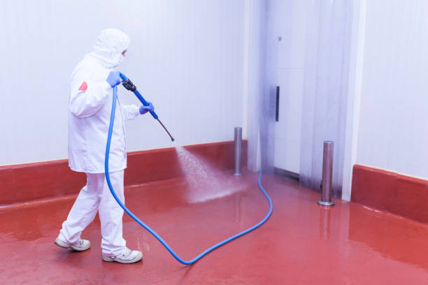 Best Dumpster Area Cleaning  in Edwardsville, PA